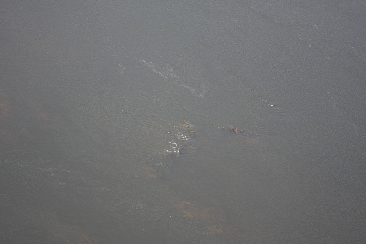 [30161] 2016_07_03_03_10_46_Africa_Canon_EOS_40D_IMG__05135.jpg