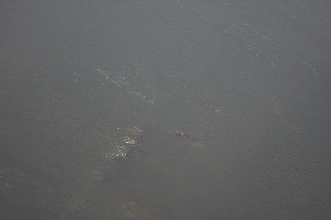 [30162] 2016_07_03_03_10_46_Africa_Canon_EOS_40D_IMG__05136.jpg