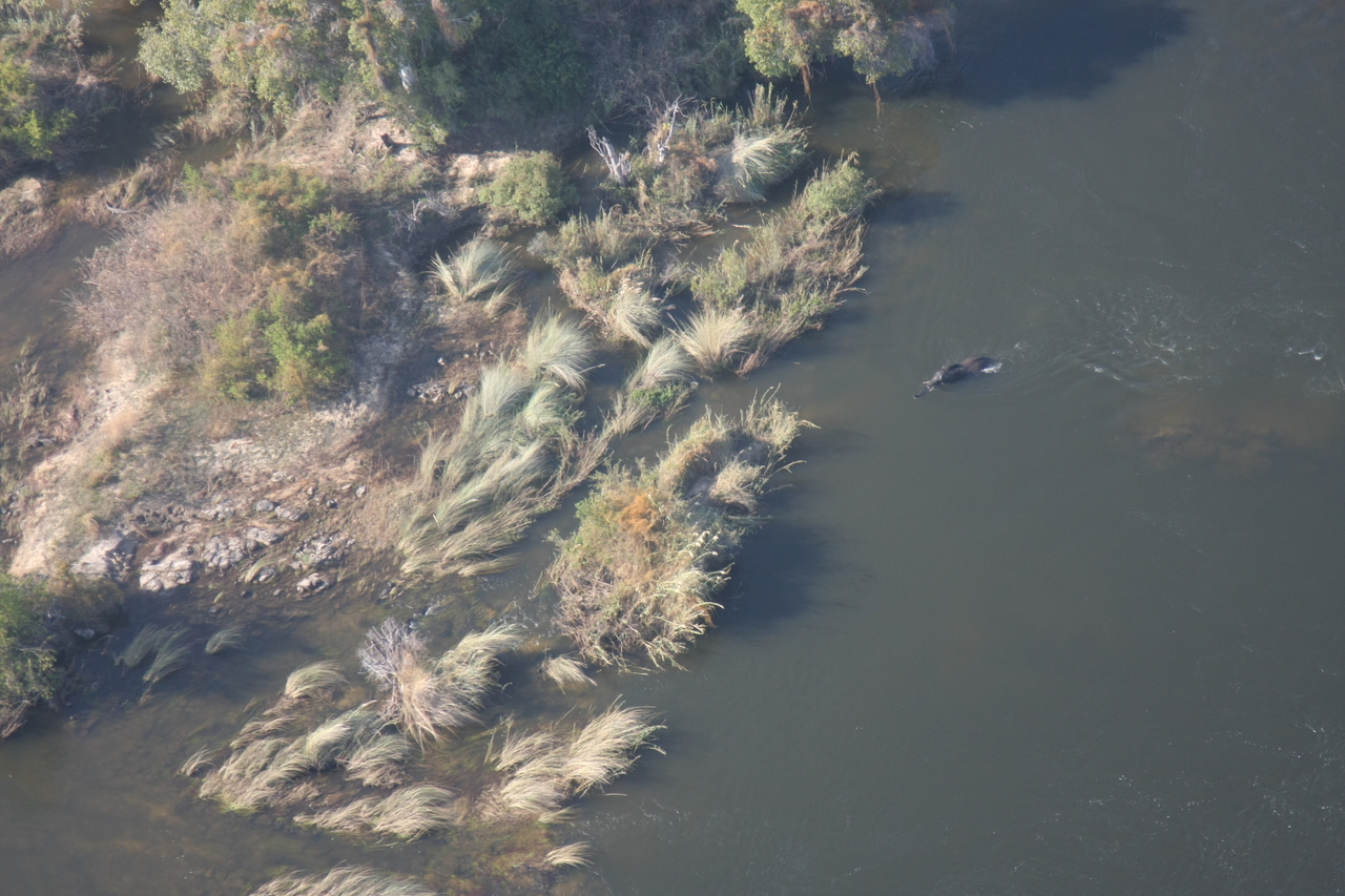 [30167] 2016_07_03_03_10_54_Africa_Canon_EOS_40D_IMG__00308.jpg