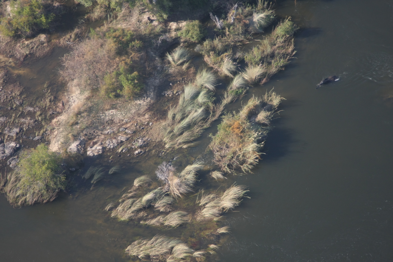 [30172] 2016_07_03_03_10_54_Africa_Canon_EOS_40D_IMG__12584.jpg