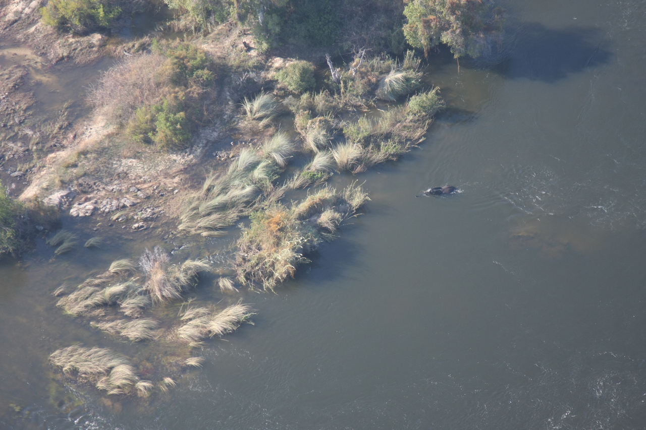 [30180] 2016_07_03_03_10_55_Africa_Canon_EOS_40D_IMG__05142.jpg