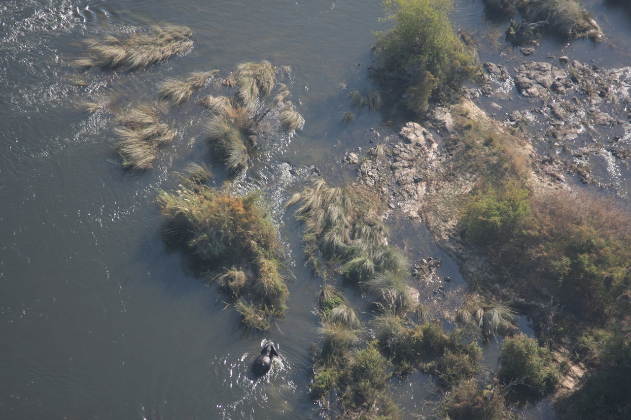 [30199] 2016_07_03_03_11_09_Africa_Canon_EOS_40D_IMG__05148.jpg