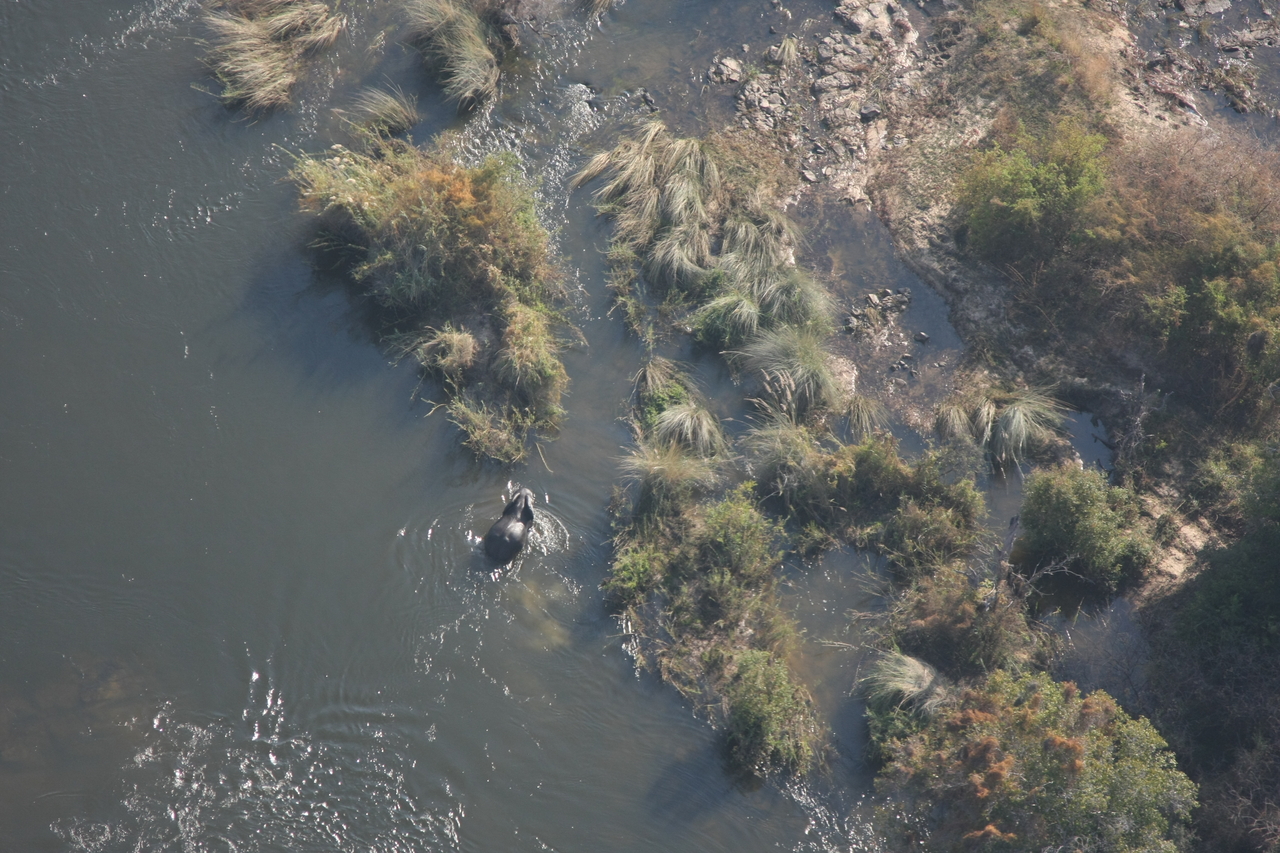 [30201] 2016_07_03_03_11_09_Africa_Canon_EOS_40D_IMG__05150.jpg