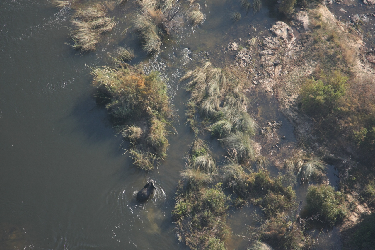 [30206] 2016_07_03_03_11_10_Africa_Canon_EOS_40D_IMG__00322.jpg