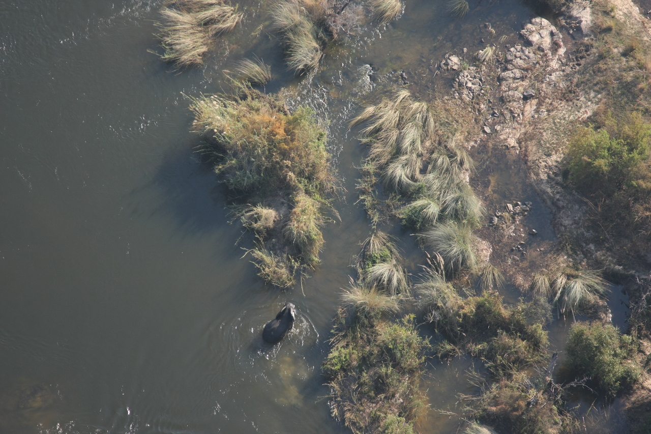 [30207] 2016_07_03_03_11_10_Africa_Canon_EOS_40D_IMG__00323.jpg