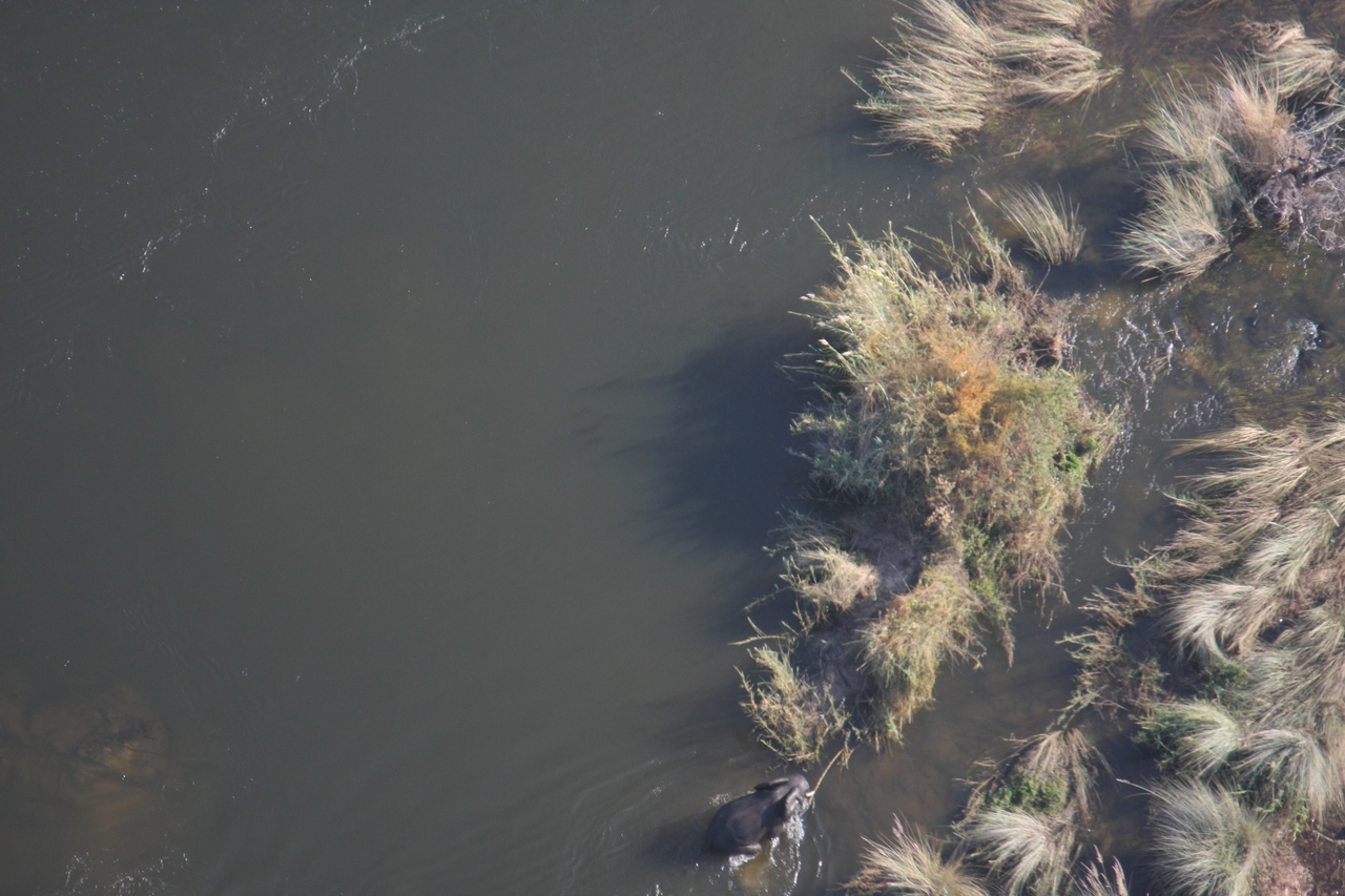 [30220] 2016_07_03_03_11_12_Africa_Canon_EOS_40D_IMG__05156.jpg