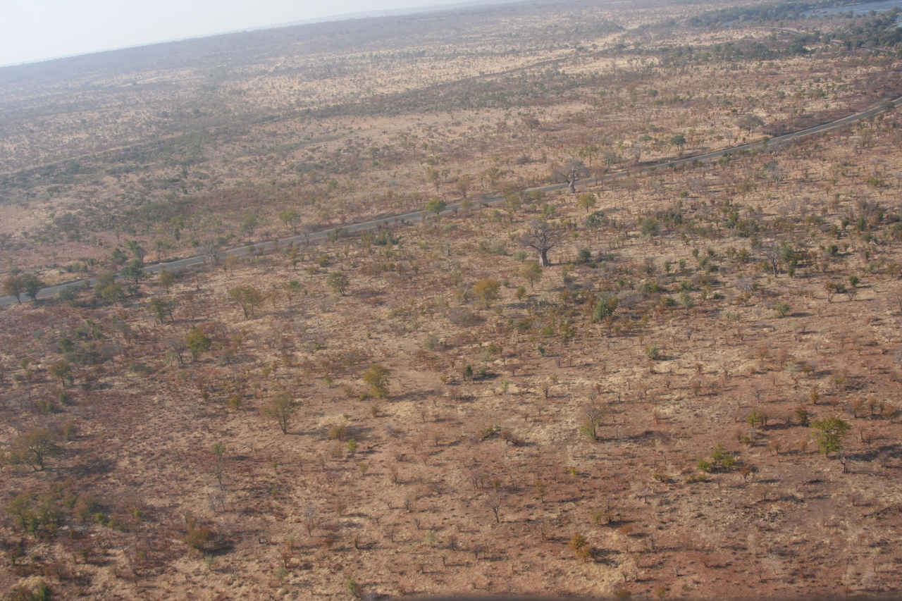 [30262] 2016_07_03_03_13_08_Africa_Canon_EOS_40D_IMG__00343.jpg