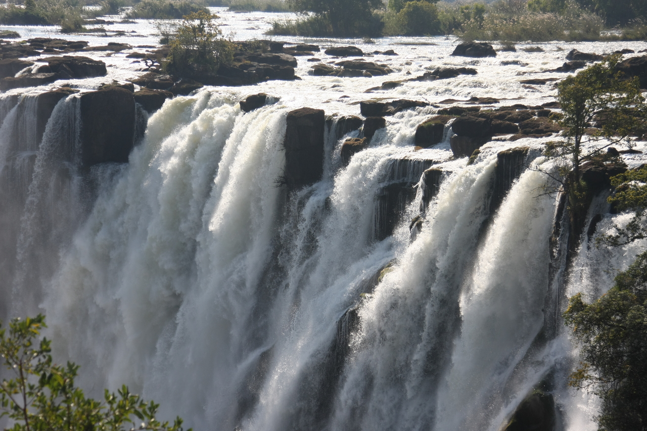 [31265] 2016_07_03_08_34_29_Africa_Canon_EOS_40D_IMG__12966.jpg