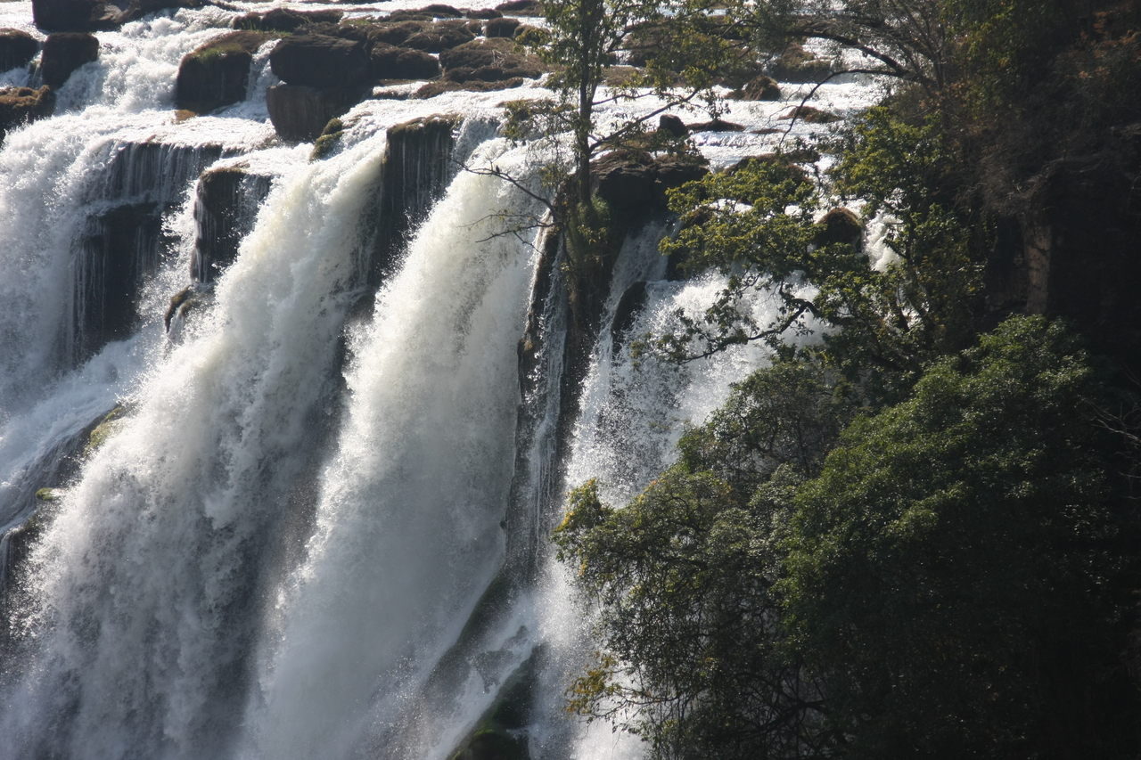 [31282] 2016_07_03_08_34_44_Africa_Canon_EOS_40D_IMG__05526.jpg