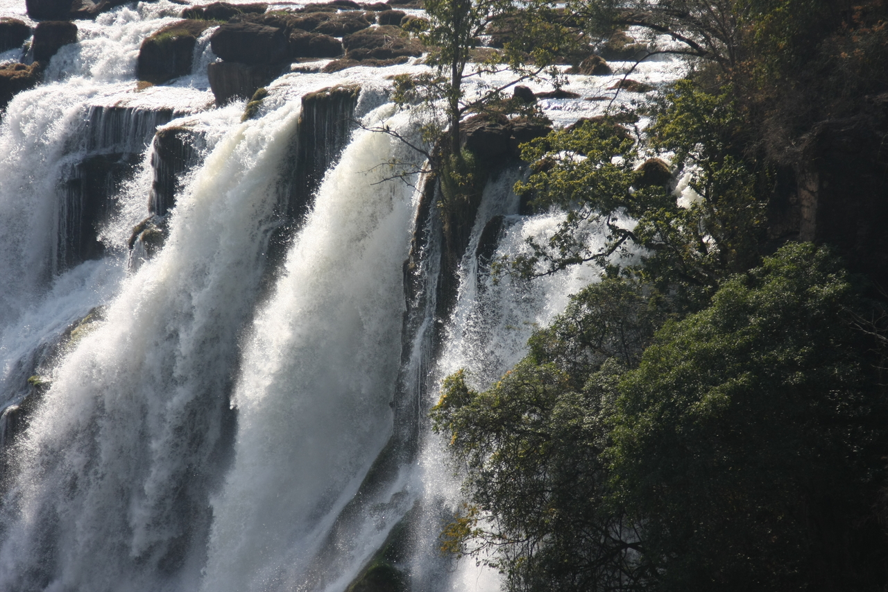 [31286] 2016_07_03_08_34_44_Africa_Canon_EOS_40D_IMG__12974.jpg