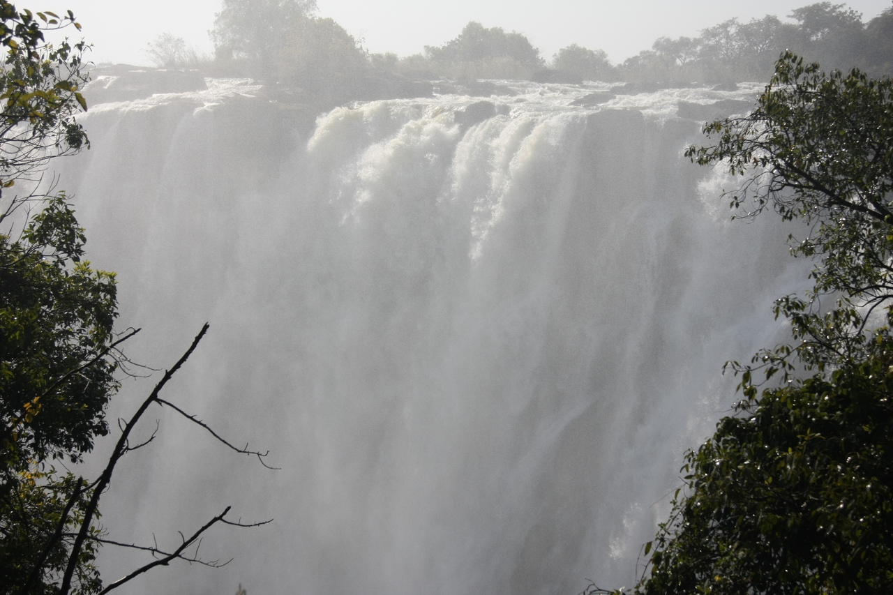 [31328] 2016_07_03_08_38_02_Africa_Canon_EOS_40D_IMG__12978.jpg