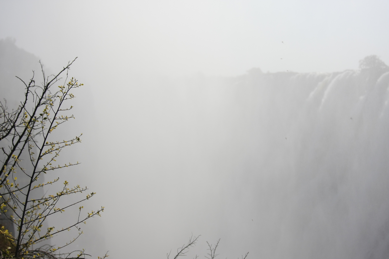 [31406] 2016_07_03_08_42_17_Africa_Canon_EOS_40D_IMG__12989.jpg