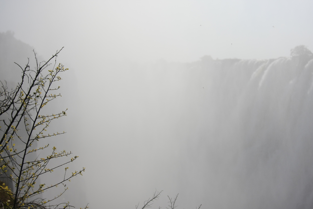 [31408] 2016_07_03_08_42_18_Africa_Canon_EOS_40D_IMG__05544.jpg