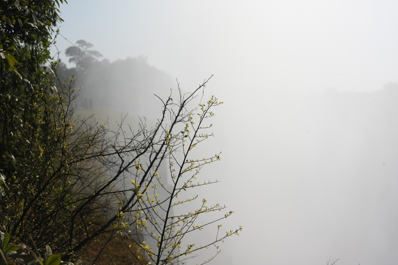 [31415] 2016_07_03_08_42_22_Africa_Canon_EOS_40D_IMG__12992.jpg