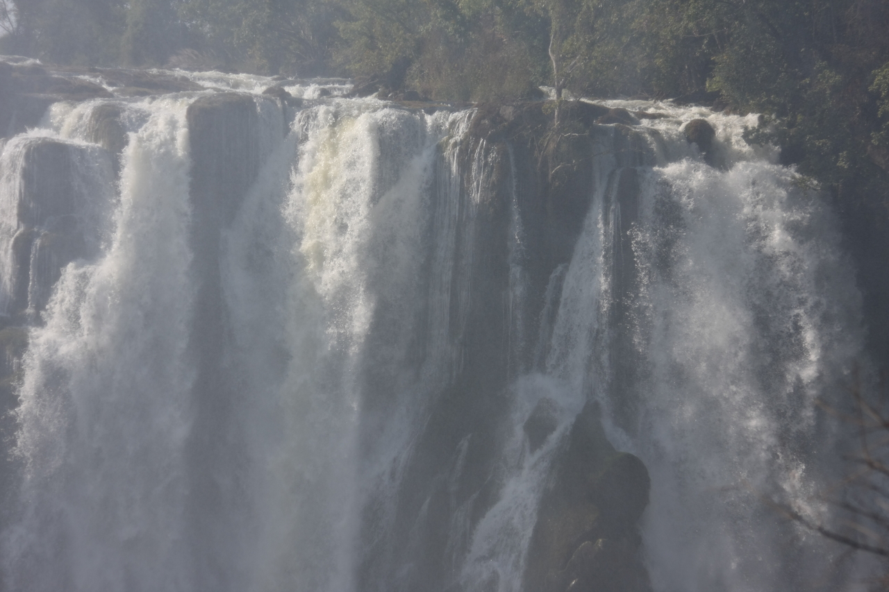 [31447] 2016_07_03_08_44_19_Africa_Canon_EOS_40D_IMG__05547.jpg