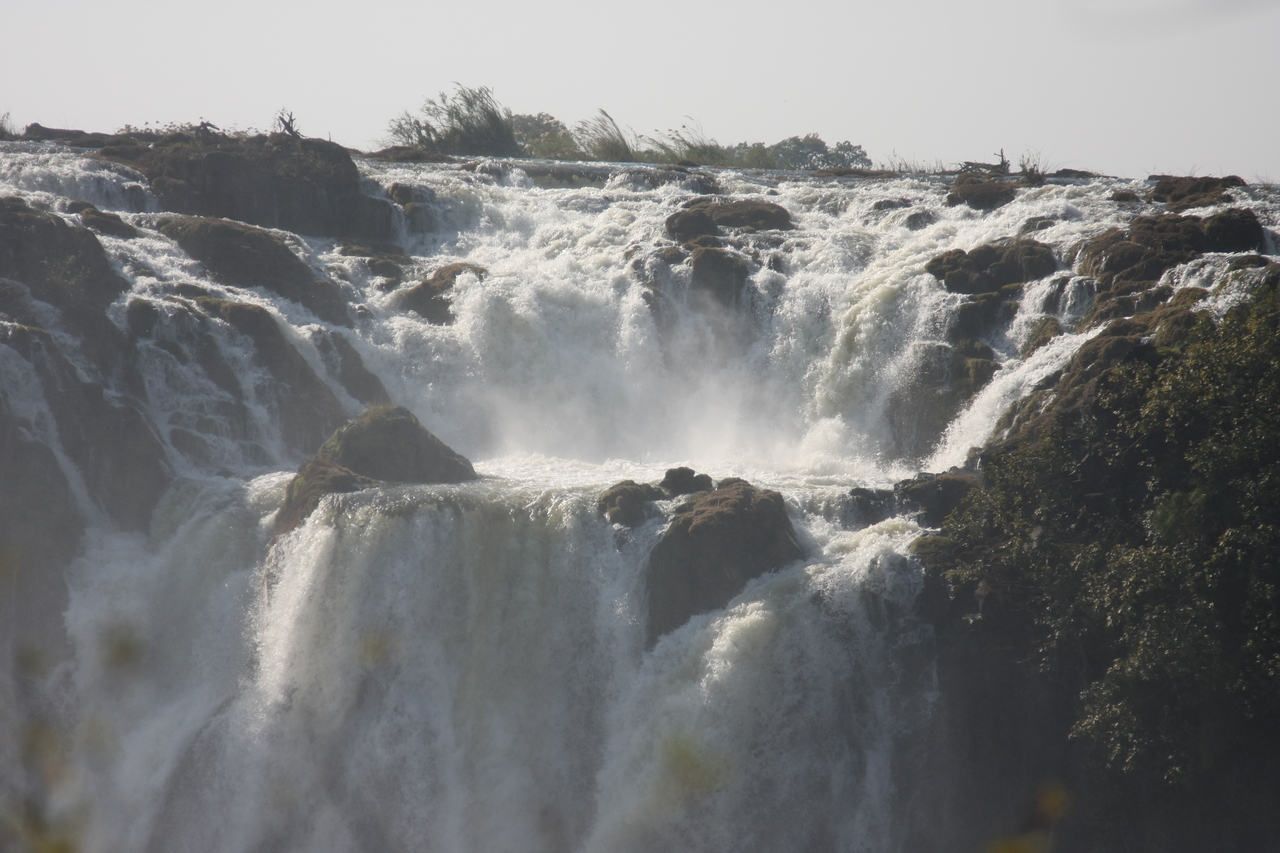 [31726] 2016_07_03_09_12_16_Africa_Canon_EOS_40D_IMG__05580.jpg