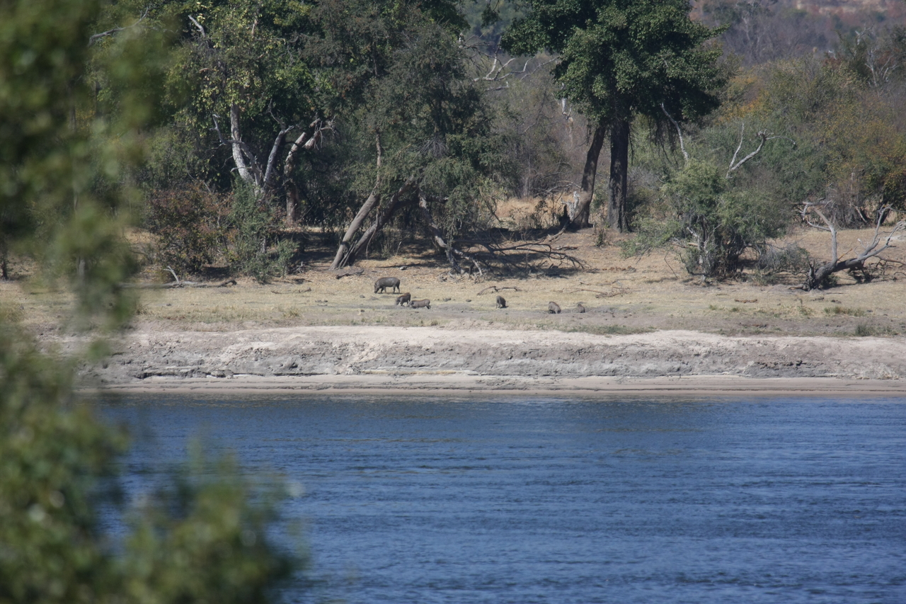[32841] 2016_07_04_05_57_03_Africa_Canon_EOS_40D_IMG__00383.jpg