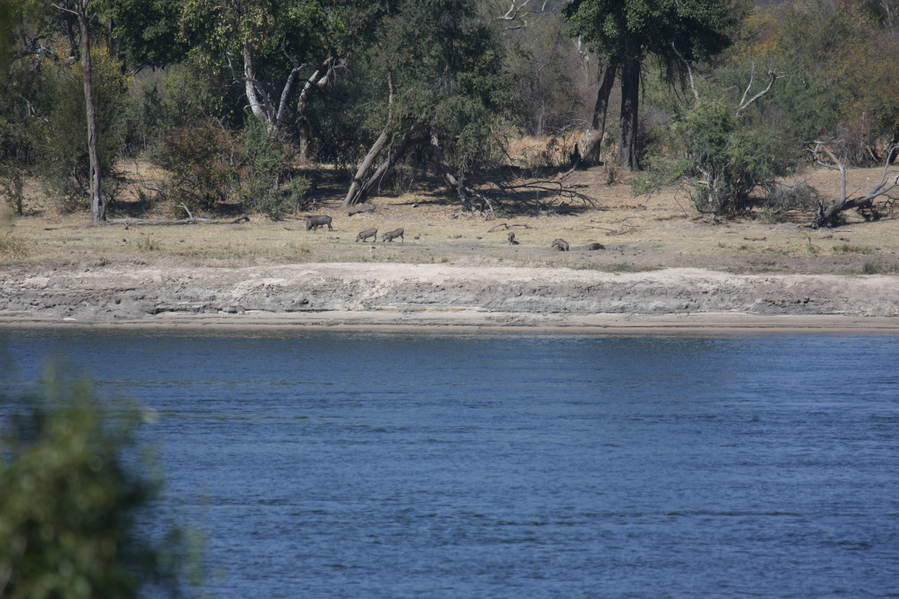 [32849] 2016_07_04_05_57_28_Africa_Canon_EOS_40D_IMG__13487.jpg