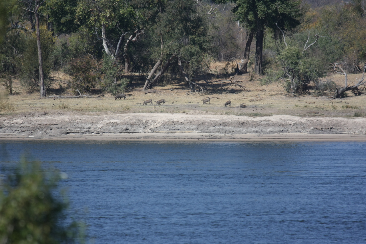 [32855] 2016_07_04_05_57_34_Africa_Canon_EOS_40D_IMG__13498.jpg