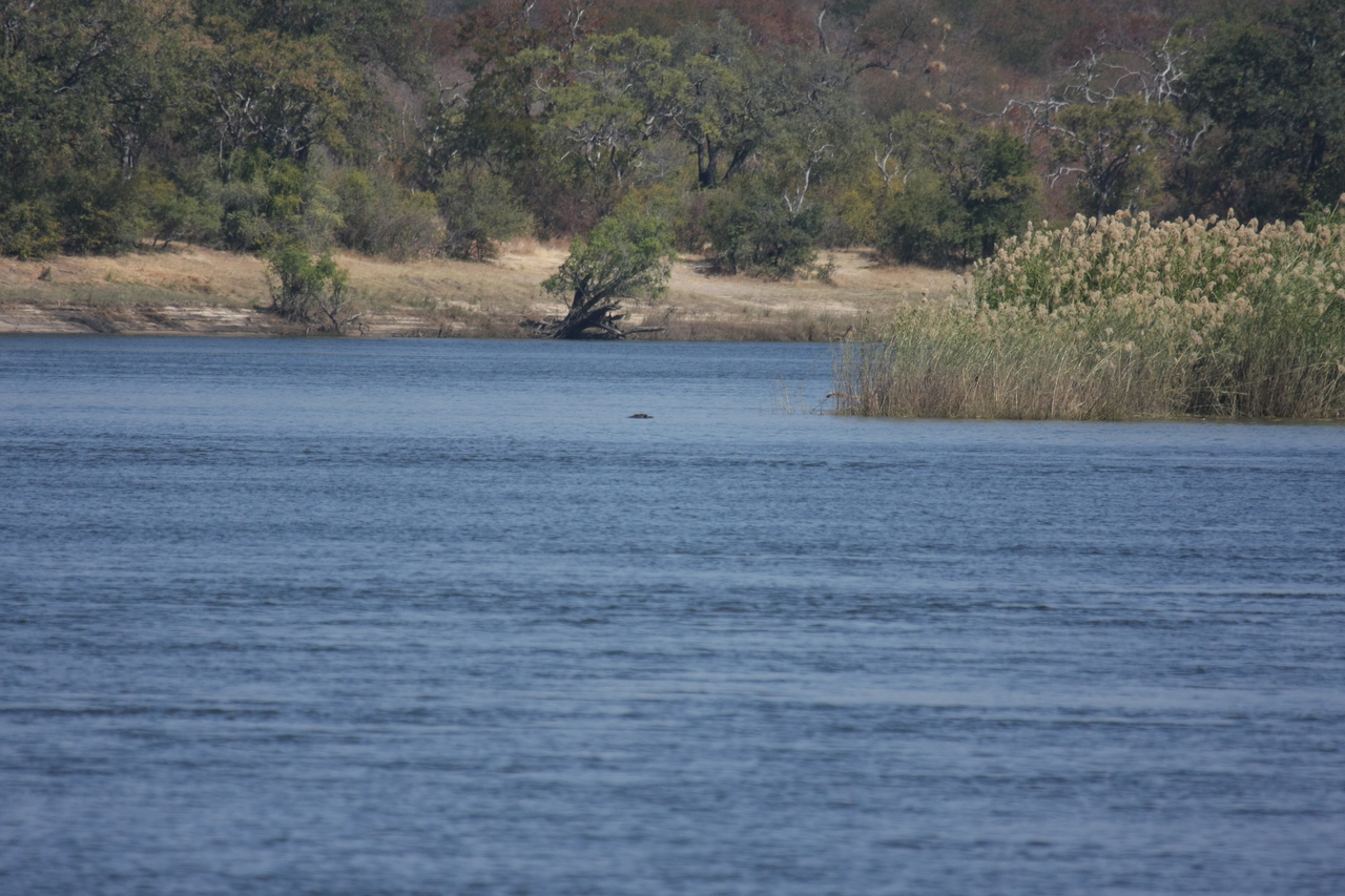 [32917] 2016_07_04_06_27_58_Africa_Canon_EOS_40D_IMG__13307.jpg