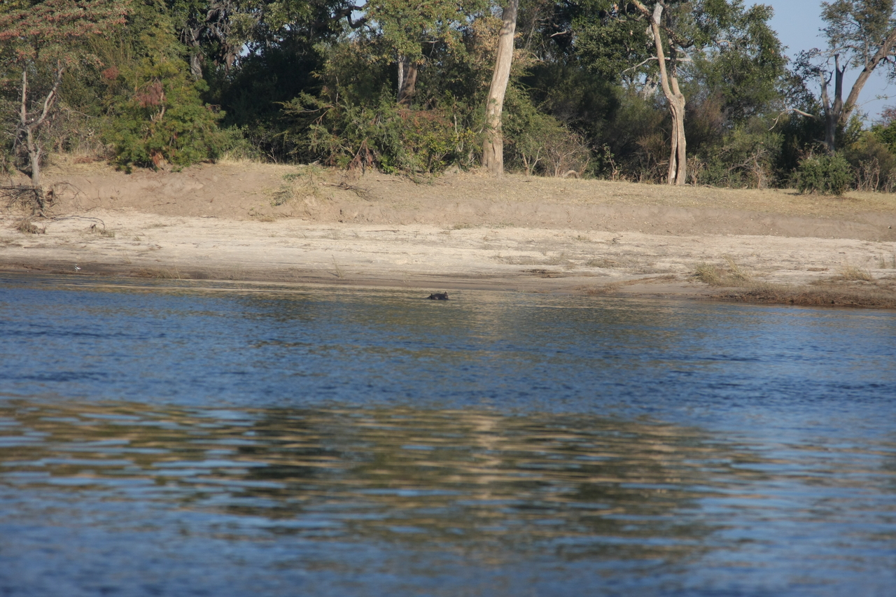 [33279] 2016_07_04_10_16_42_Africa_Canon_EOS_40D_IMG__13104.jpg