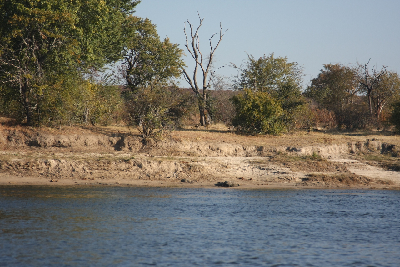 [33281] 2016_07_04_10_26_28_Africa_Canon_EOS_40D_IMG__00024.jpg