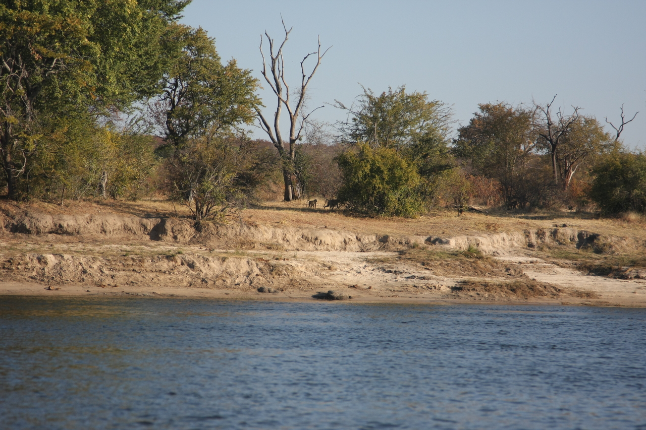 [33292] 2016_07_04_10_26_30_Africa_Canon_EOS_40D_IMG__13110.jpg