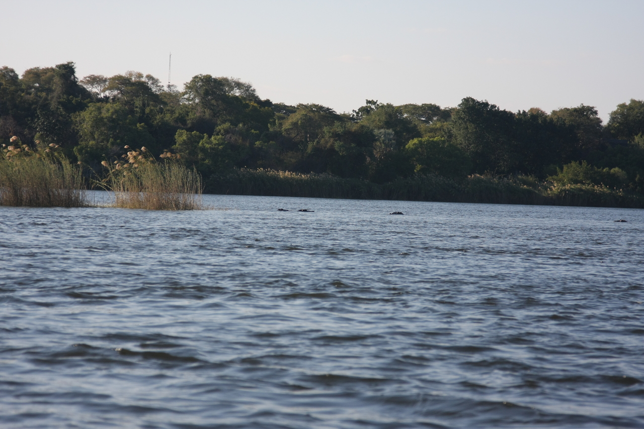 [33308] 2016_07_04_10_29_10_Africa_Canon_EOS_40D_IMG__00034.jpg