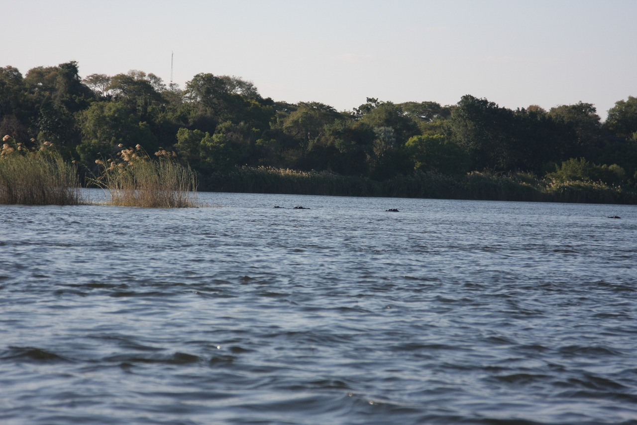 [33313] 2016_07_04_10_29_10_Africa_Canon_EOS_40D_IMG__13117.jpg