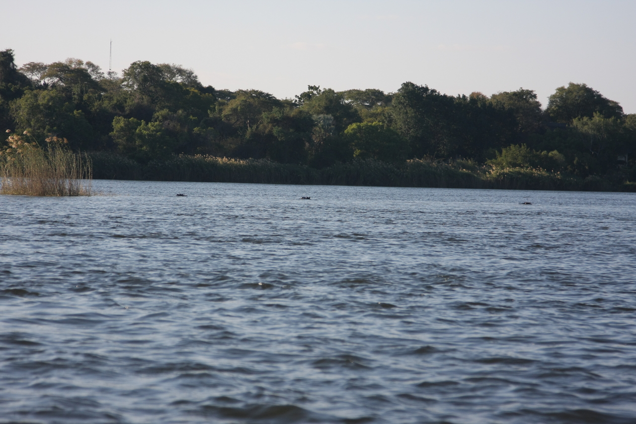 [33314] 2016_07_04_10_29_12_Africa_Canon_EOS_40D_IMG__00037.jpg