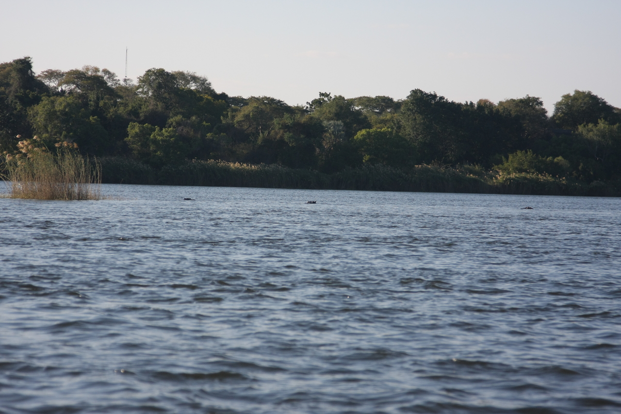 [33317] 2016_07_04_10_29_12_Africa_Canon_EOS_40D_IMG__05673.jpg