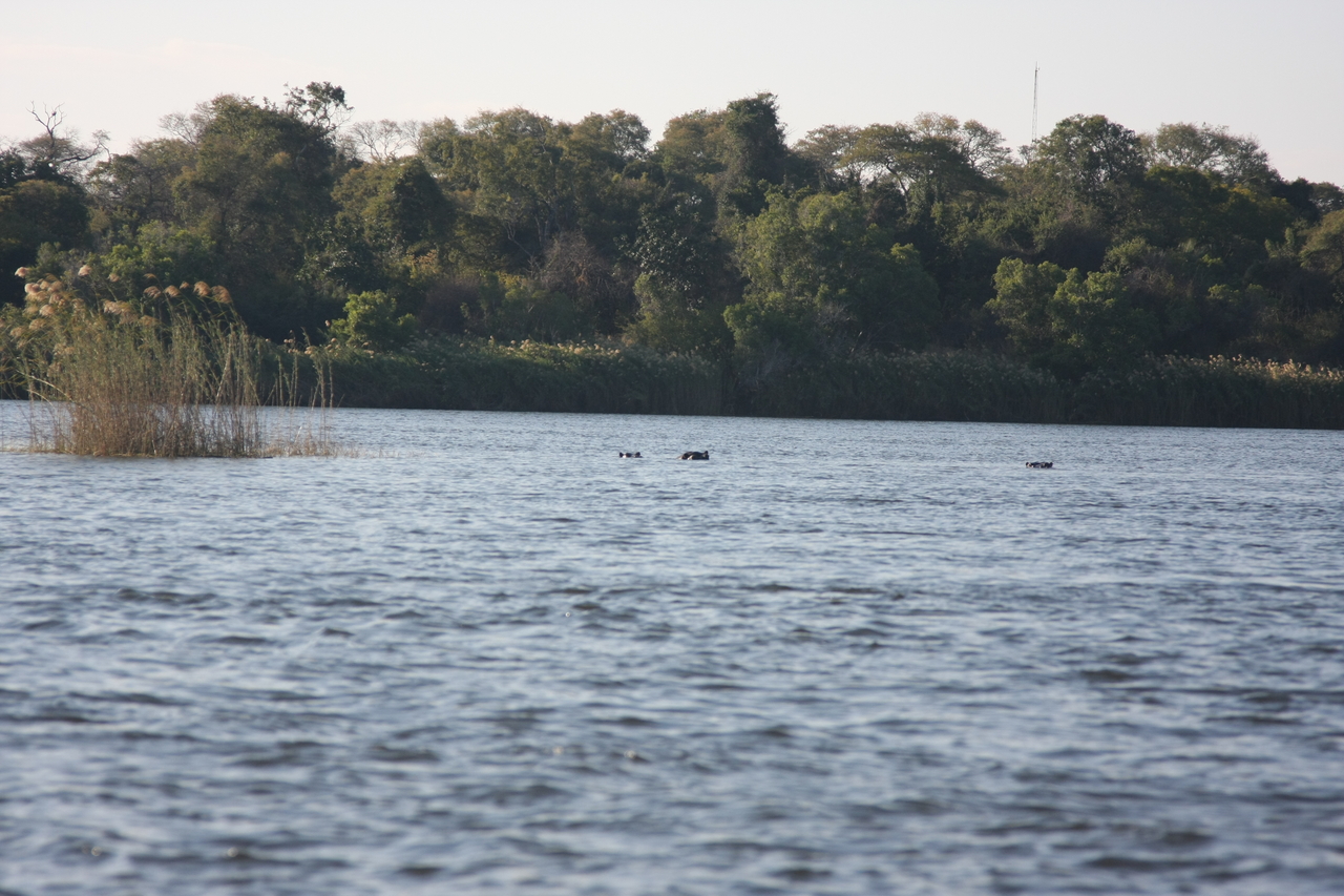 [33330] 2016_07_04_10_29_25_Africa_Canon_EOS_40D_IMG__00043.jpg