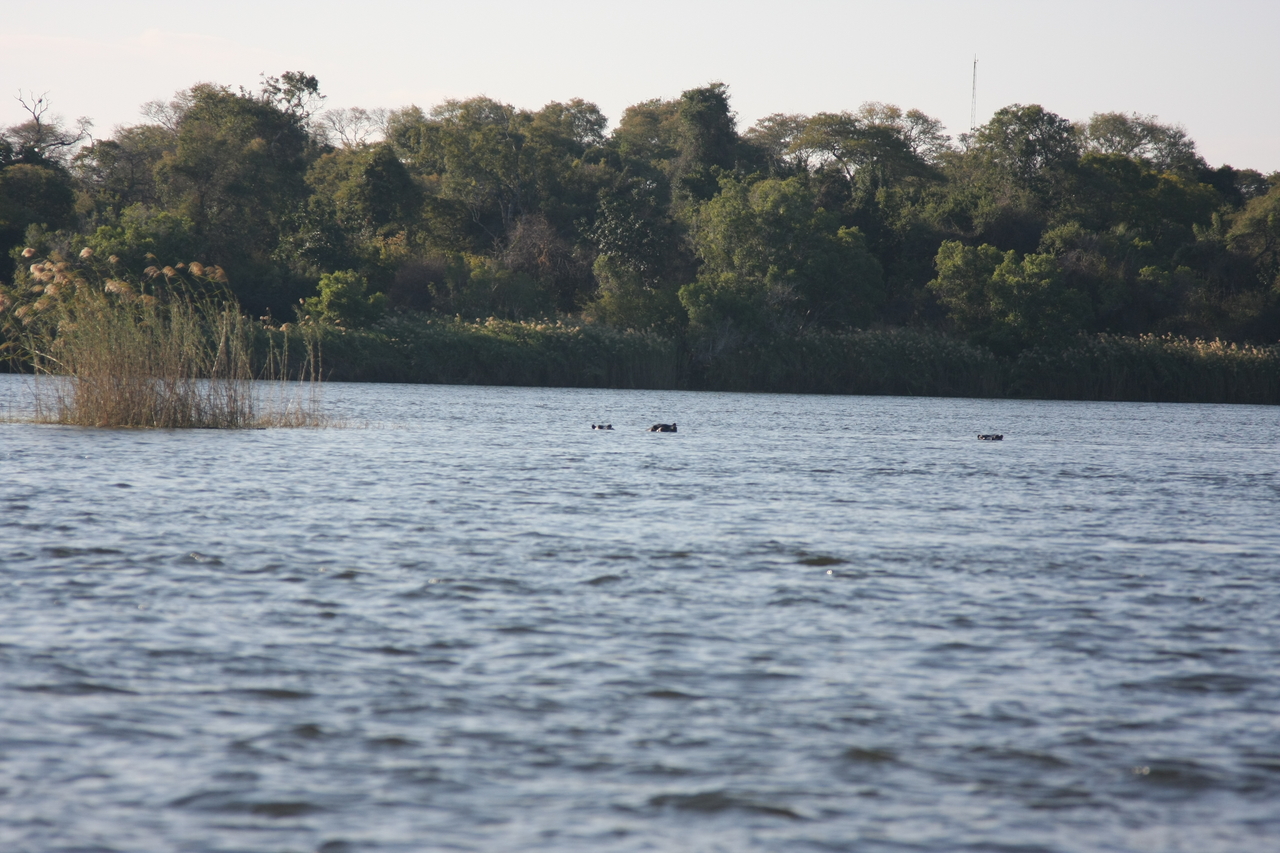 [33331] 2016_07_04_10_29_25_Africa_Canon_EOS_40D_IMG__05677.jpg