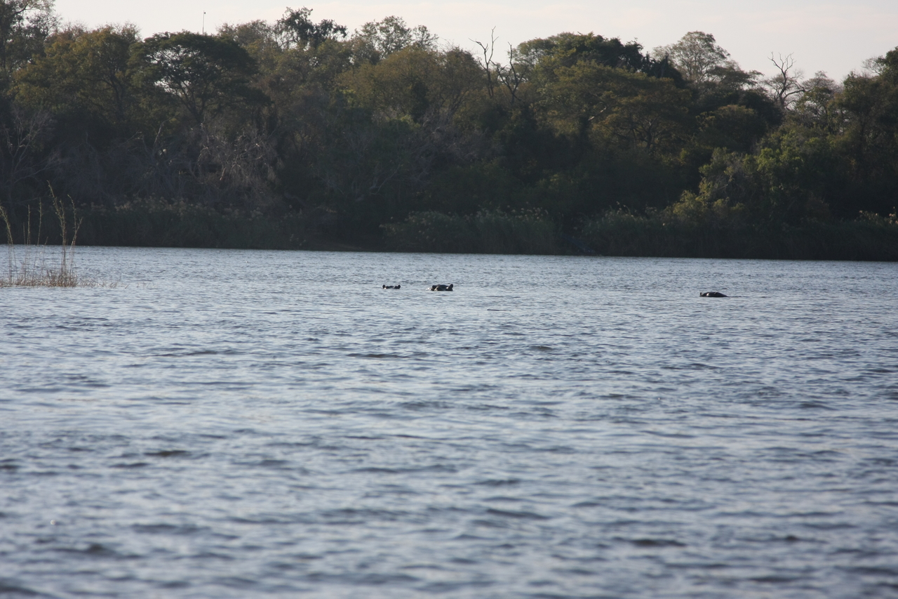 [33338] 2016_07_04_10_29_48_Africa_Canon_EOS_40D_IMG__05680.jpg