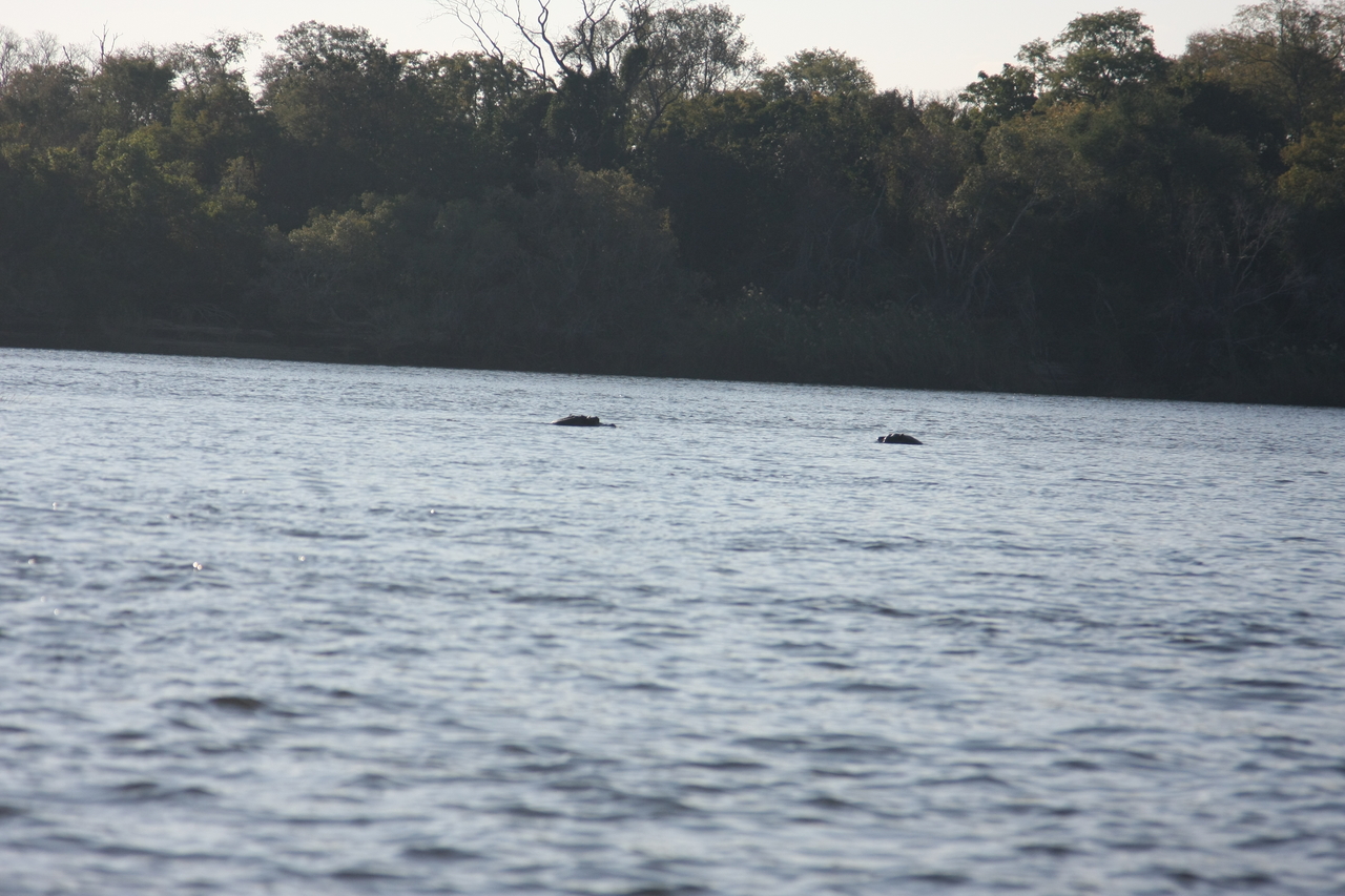 [33343] 2016_07_04_10_30_25_Africa_Canon_EOS_40D_IMG__00049.jpg