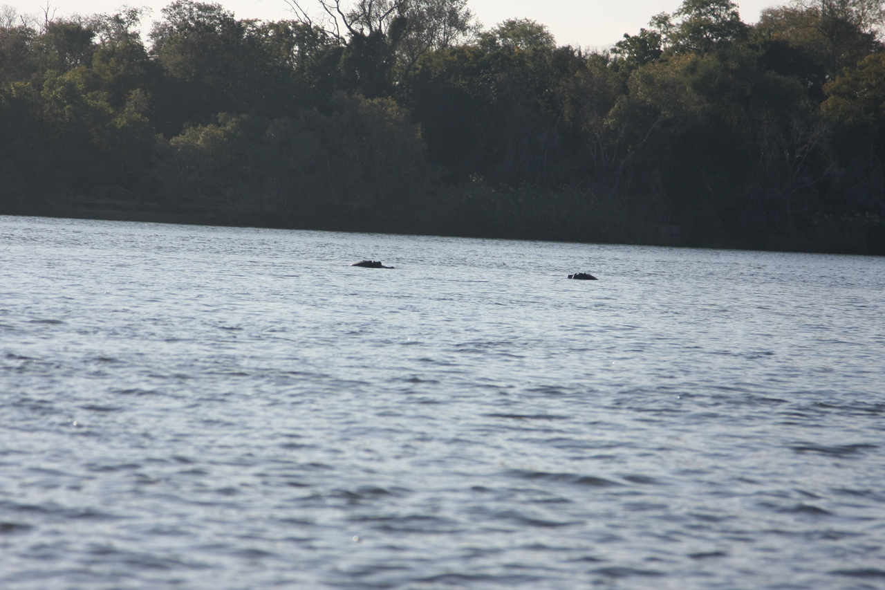 [33345] 2016_07_04_10_30_25_Africa_Canon_EOS_40D_IMG__05683.jpg