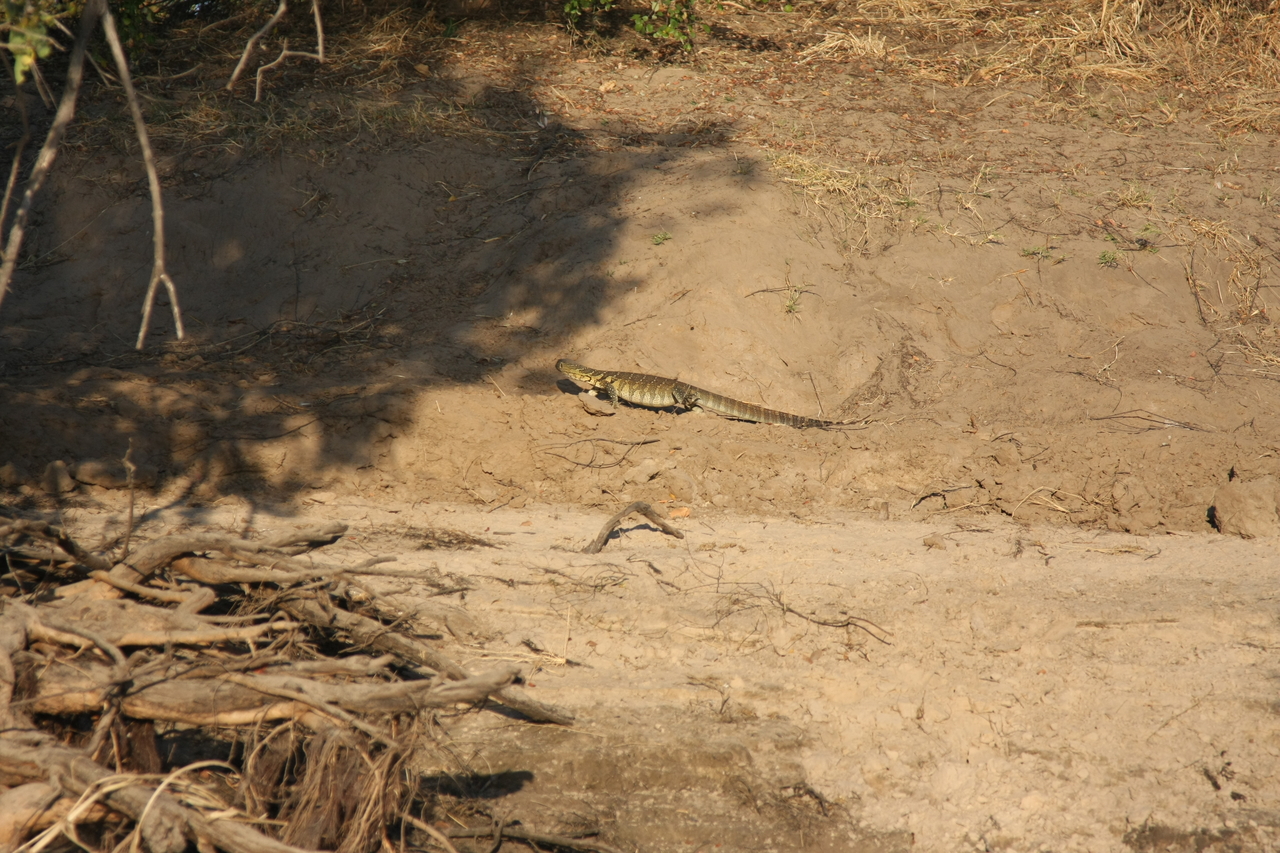 [33364] 2016_07_04_11_07_58_Africa_Canon_EOS_40D_IMG__13136.jpg
