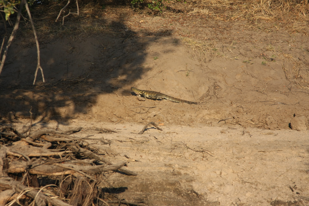 [33365] 2016_07_04_11_07_59_Africa_Canon_EOS_40D_IMG__00055.jpg