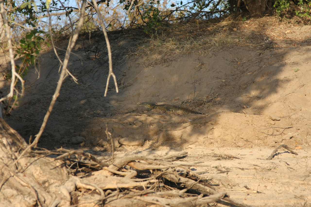 [33384] 2016_07_04_11_09_27_Africa_Canon_EOS_40D_IMG__13143.jpg