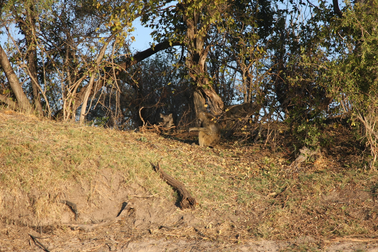 [33420] 2016_07_04_11_14_28_Africa_Canon_EOS_40D_IMG__00076.jpg