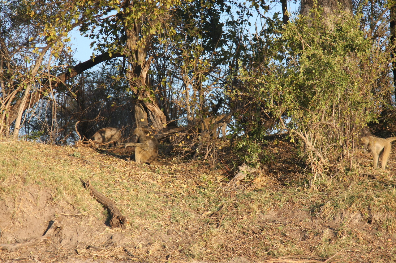 [33430] 2016_07_04_11_14_30_Africa_Canon_EOS_40D_IMG__05713.jpg