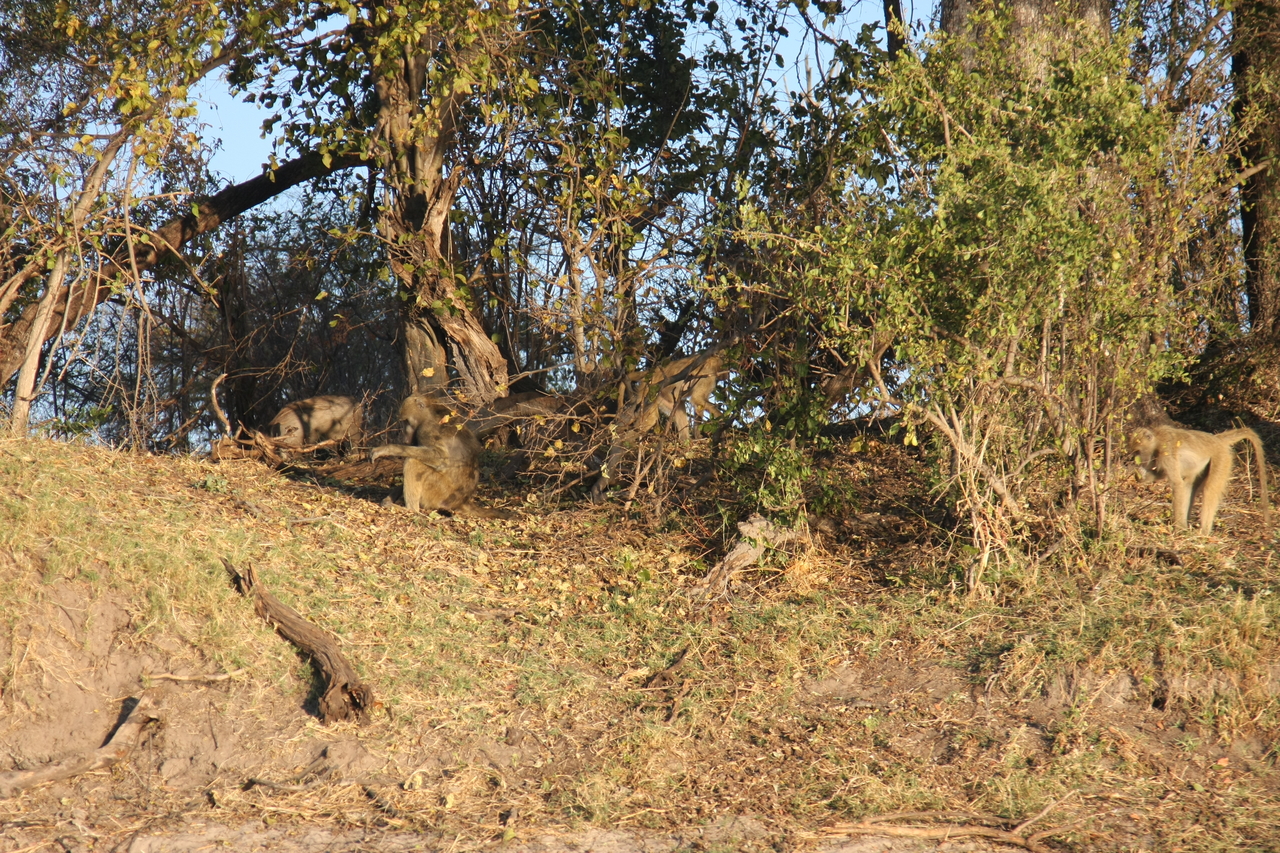 [33433] 2016_07_04_11_14_30_Africa_Canon_EOS_40D_IMG__13161.jpg