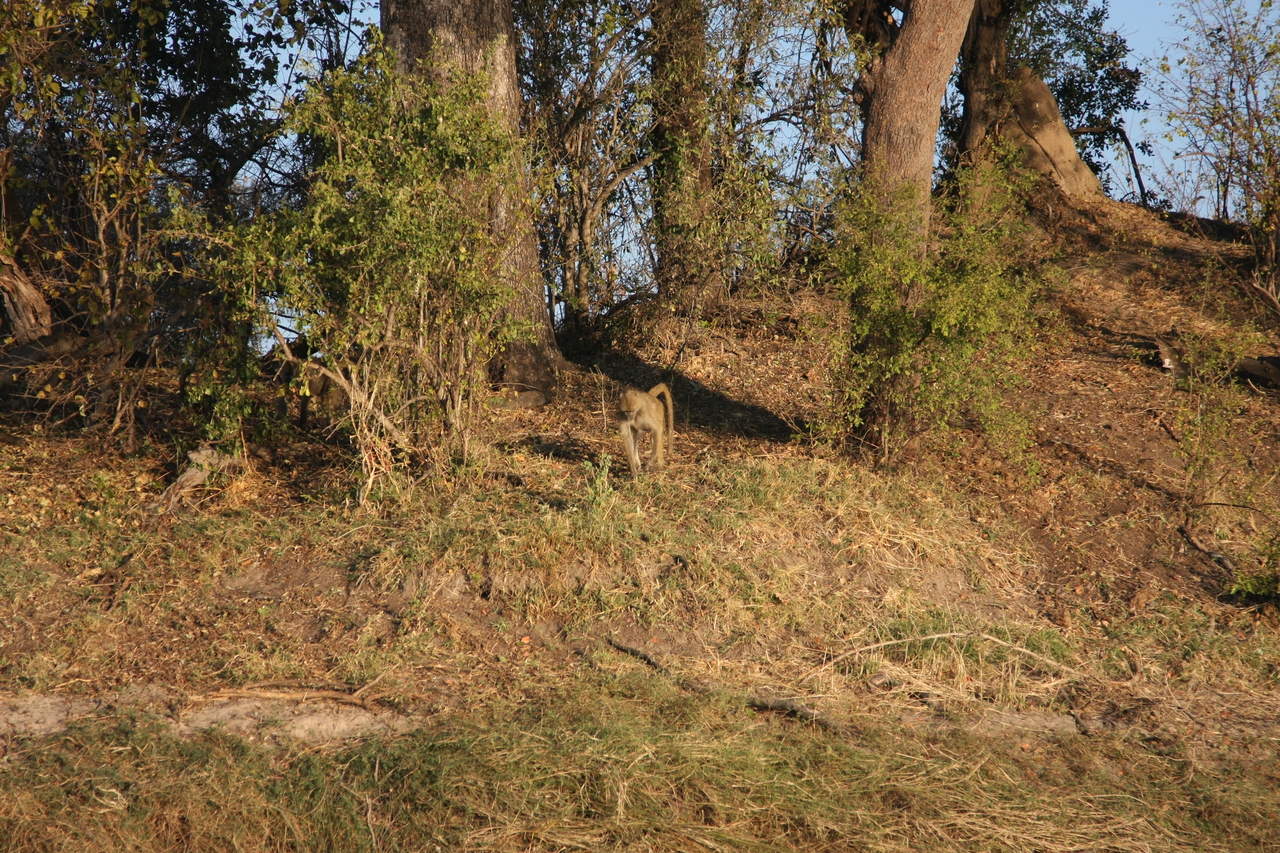[33531] 2016_07_04_11_15_44_Africa_Canon_EOS_40D_IMG__05752.jpg