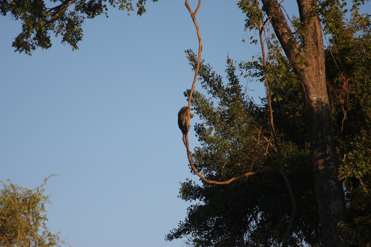 [33572] 2016_07_04_11_16_19_Africa_Canon_EOS_40D_IMG__00132.jpg