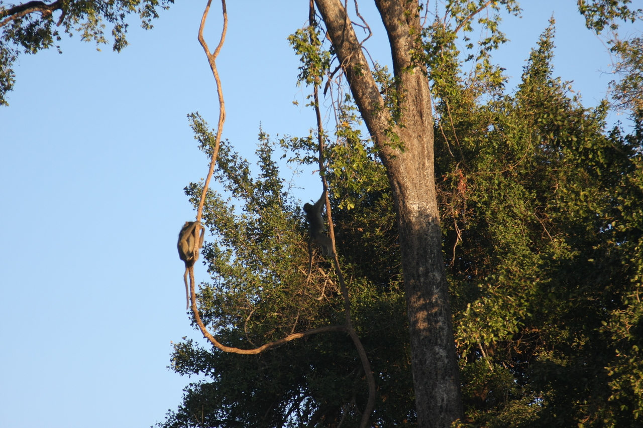 [33596] 2016_07_04_11_16_24_Africa_Canon_EOS_40D_IMG__05775.jpg