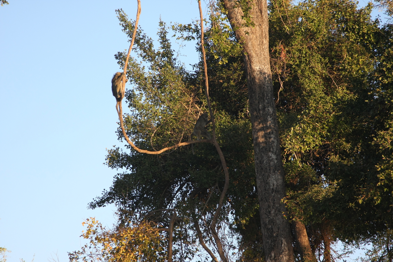 [33607] 2016_07_04_11_16_27_Africa_Canon_EOS_40D_IMG__13226.jpg