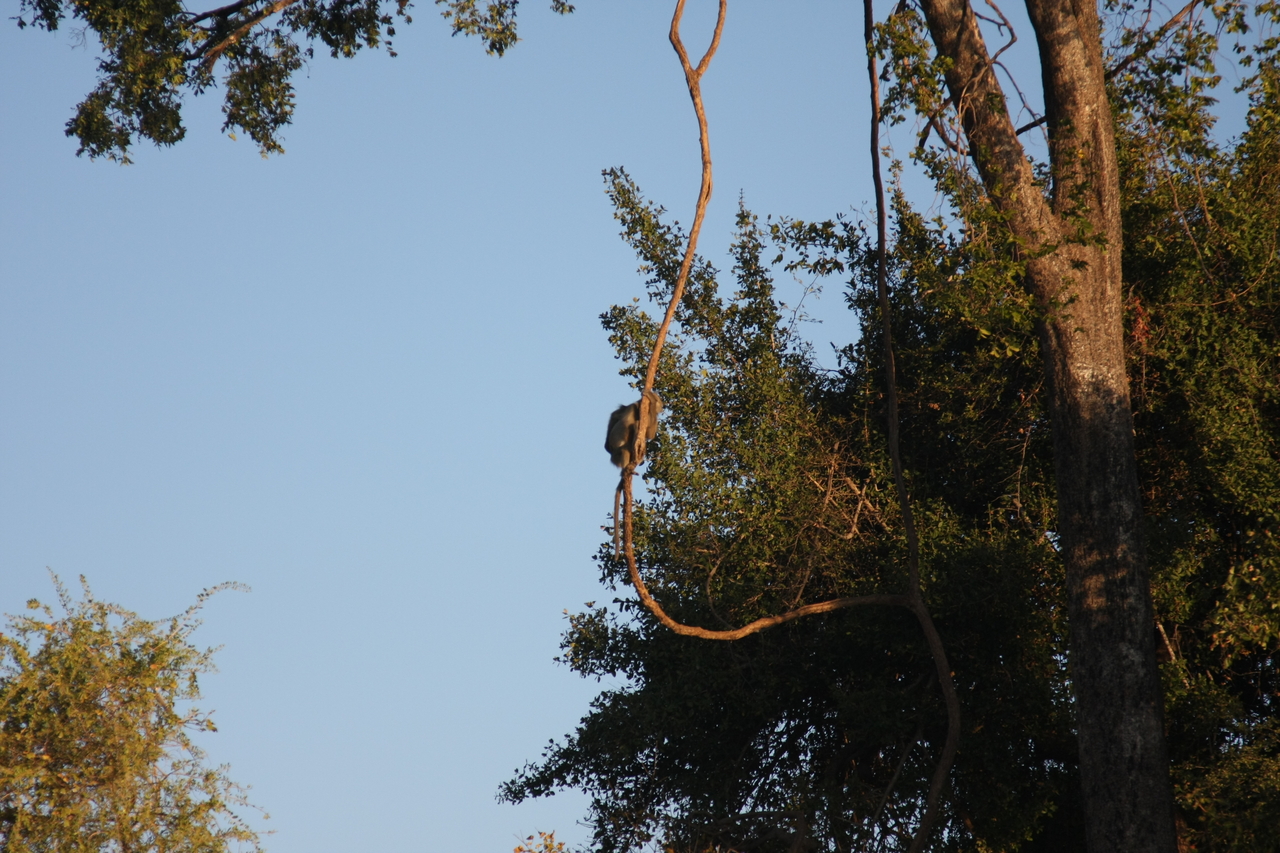 [33627] 2016_07_04_11_16_38_Africa_Canon_EOS_40D_IMG__05787.jpg