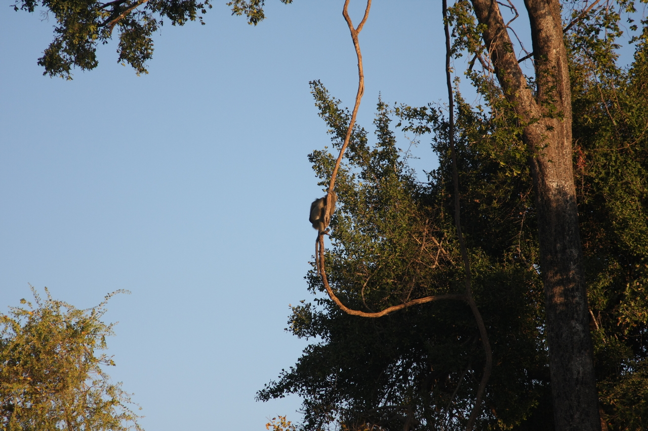 [33631] 2016_07_04_11_16_38_Africa_Canon_EOS_40D_IMG__13235.jpg