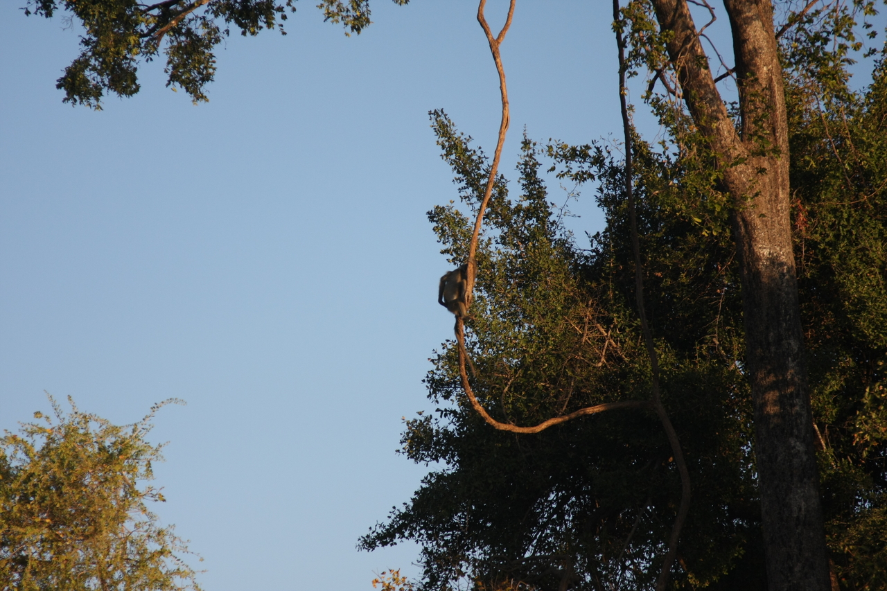 [33633] 2016_07_04_11_16_39_Africa_Canon_EOS_40D_IMG__00155.jpg