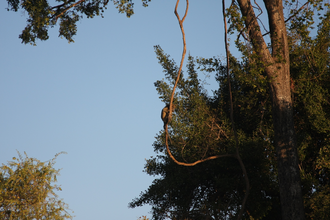 [33648] 2016_07_04_11_16_42_Africa_Canon_EOS_40D_IMG__00161.jpg